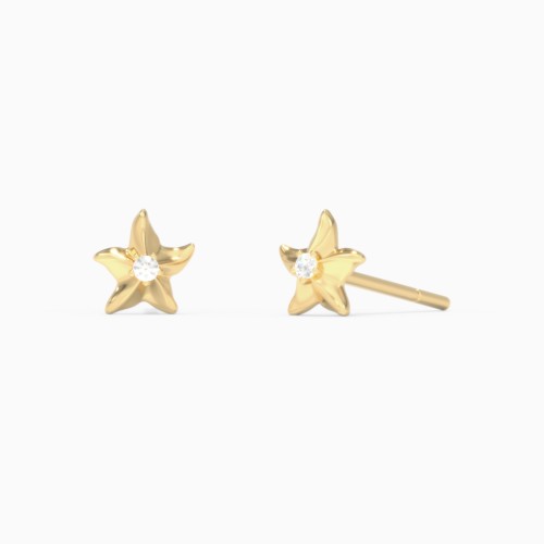 Starfish Studs With Accent