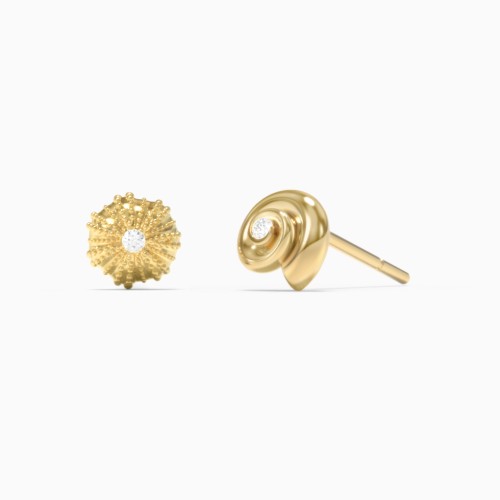 Ocean Collection Studs With Accent - Pair